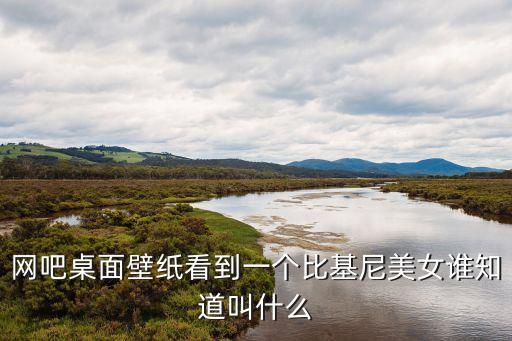 網吧桌面壁紙看到一個比基尼美女誰知道叫什么
