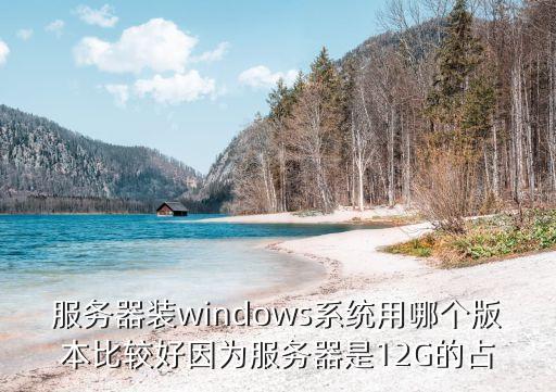 服務器系統，服務器裝windows系統用哪個版本比較好因為服務器是12G的占