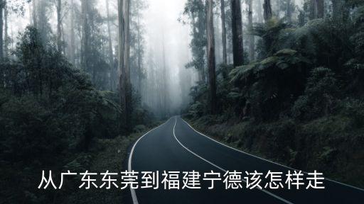 從廣東東莞到福建寧德該怎樣走