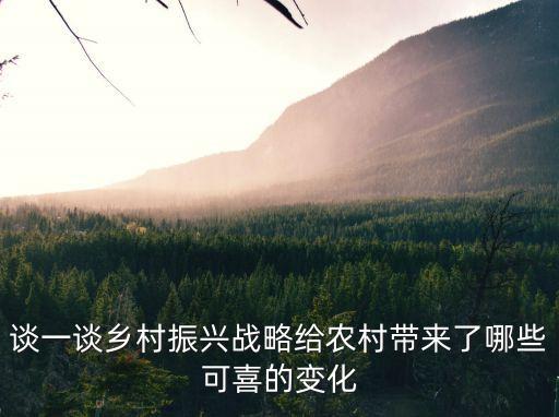 談一談鄉村振興戰略給農村帶來了哪些可喜的變化