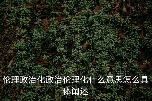 倫理政治化政治倫理化什么意思怎么具體闡述