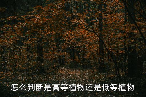 種子植物門，生物學上把動植物的分類次序依次是門科目急求