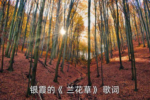 蘭花草歌詞,《我和蘭花草一起從山里來》主打新人