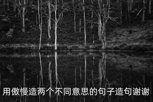 用傲慢造兩個不同意思的句子造句謝謝