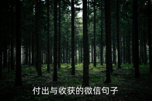 付出和收獲的經典語錄，有付出才有收獲 的例子和名言急