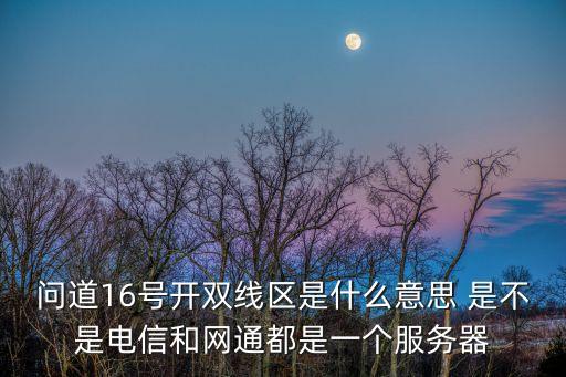 問道16號開雙線區是什么意思 是不是電信和網通都是一個服務器