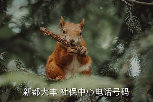 崇州市社保局,崇州社保與大邑社保比較哪個好?