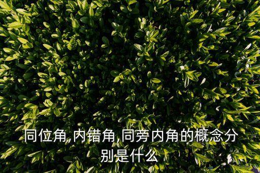 同位角,內錯角,同旁內角的概念分別是什么