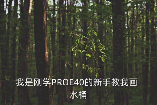 我是剛學PROE40的新手教我畫 水桶