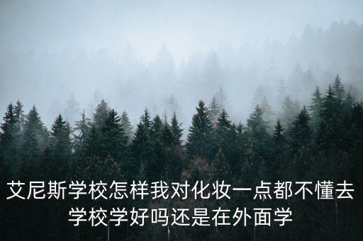 艾尼斯學校怎樣我對化妝一點都不懂去學校學好嗎還是在外面學