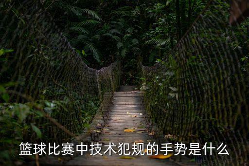 籃球比賽中技術犯規的手勢是什么