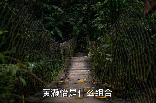 黃瀞怡是什么組合