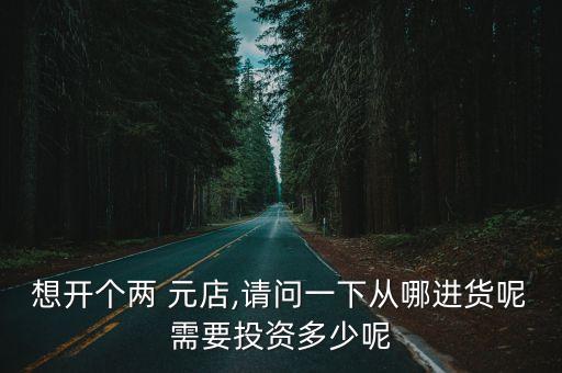 想開個兩 元店,請問一下從哪進貨呢需要投資多少呢