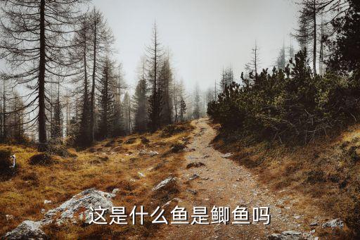 這是什么魚是鯽魚嗎