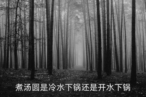 煮湯圓是冷水下鍋還是開水下鍋
