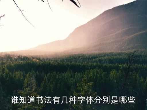 書法有哪些字體，書法中有哪幾種字體