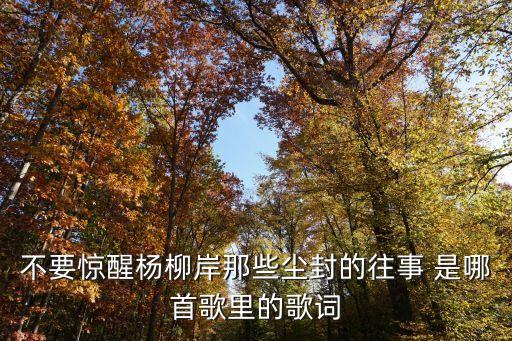 不要驚醒楊柳岸，夢里水鄉的歌詞是什么