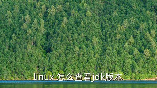 linux 怎么查看jdk版本