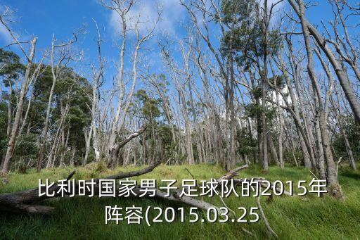 比利時陣容,比利時國家隊2022世界杯陣容公布