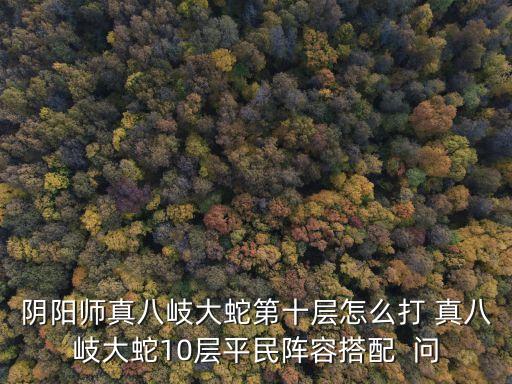 陰陽師真八岐大蛇第十層怎么打 真八岐大蛇10層平民陣容搭配  問