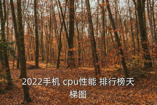 2022手機 cpu性能 排行榜天梯圖
