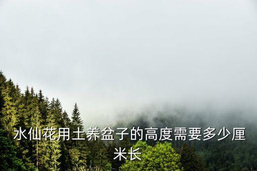 水仙盆,怎么在家養水仙?水仙可盆栽或水療?