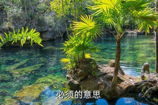 必須的近義詞,前120分必須要求發音:必須必須