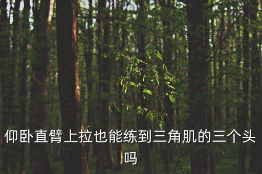 仰臥直臂上拉也能練到三角肌的三個頭嗎
