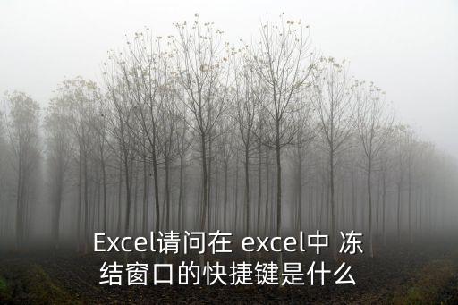 Excel請問在 excel中 凍結(jié)窗口的快捷鍵是什么