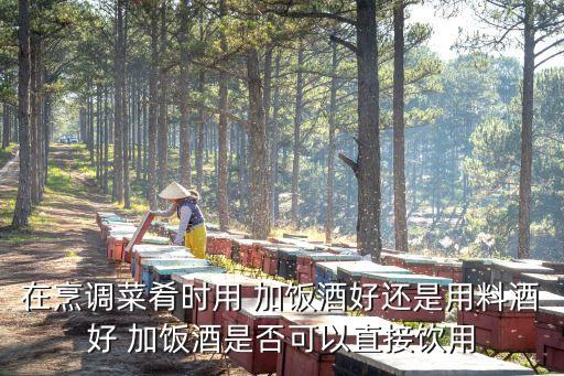 加飯酒,紹興加飯酒怎么用?放入主料再放加飯!