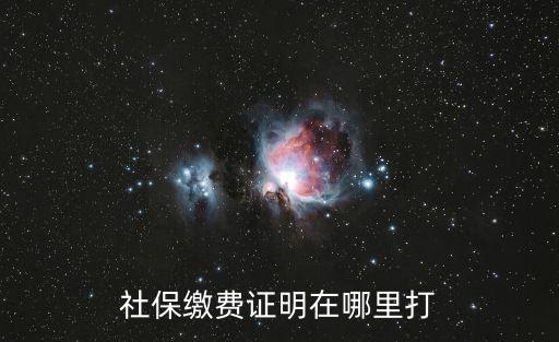 社保繳費(fèi)證明在哪里打