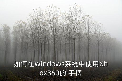 手柄測試軟件,游戲手柄怎么測試?