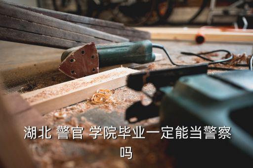 湖北警官學院,湖北警官學院是一所什么?