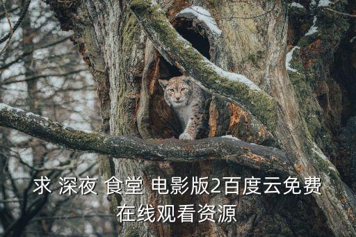求 深夜 食堂 電影版2百度云免費在線觀看資源