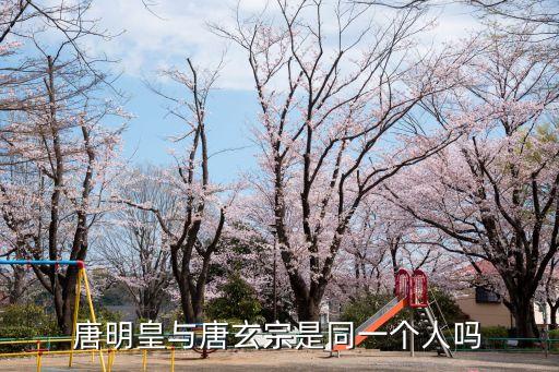 唐明皇是唐玄宗嗎，唐明皇是哪個朝代的帝王叫什么