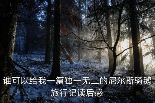 誰可以給我一篇獨一無二的尼爾斯騎鵝旅行記讀后感