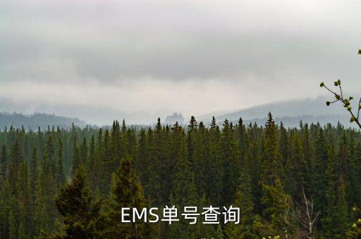 EMS單號(hào)查詢
