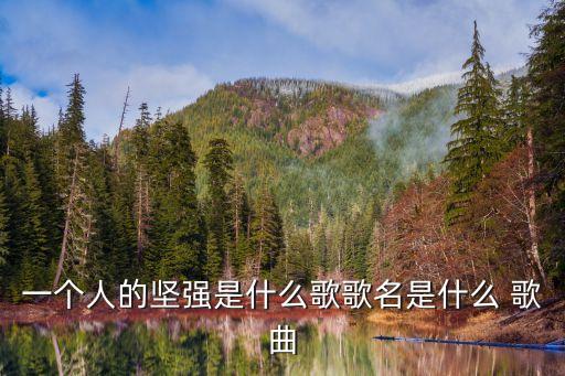 一個人的堅強是什么歌歌名是什么 歌曲