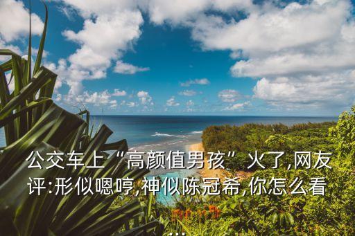 公交車圖片,上海第一輛公交車是什么牌子?
