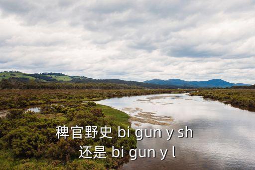 稗官野史的讀音，稗官野史 bi gun y sh 還是 bi gun y l