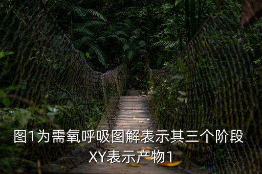 一為，為的筆順