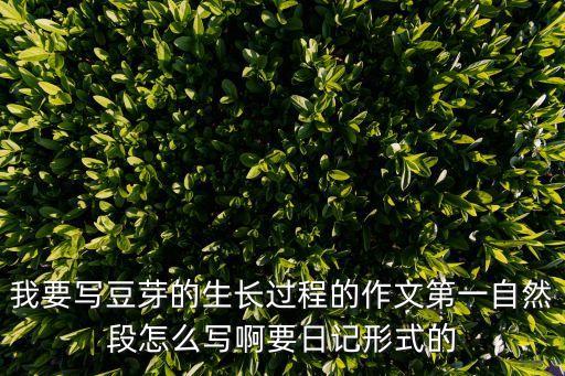 生豆芽作文，我要寫豆芽的生長過程的作文第一自然段怎么寫啊要日記形式的