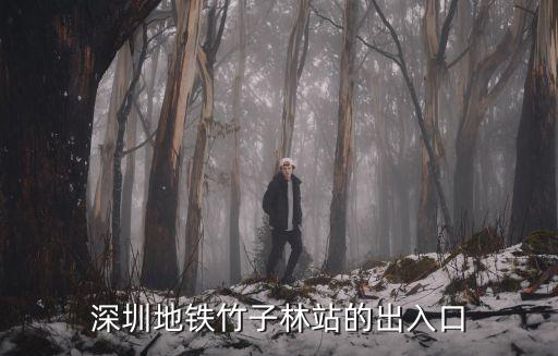 深圳地鐵竹子林站的出入口