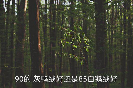 灰鴨絨,鵝絨和鴨絨哪個好鵝絨比鴨絨好白鴨絨更貴