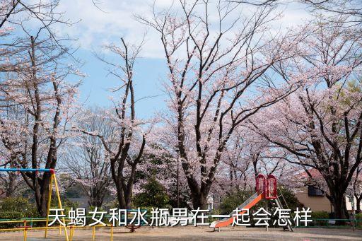 水瓶男天蝎女，天蝎女和水瓶男