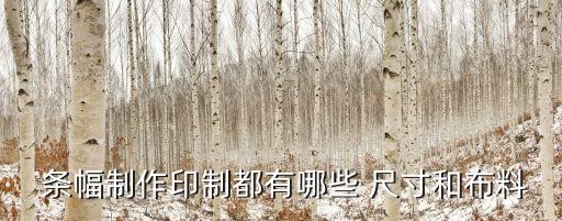 條幅尺寸,如何制作特殊規(guī)格條幅或大幅面巨幅?