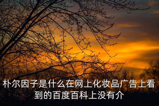 樸爾因子，樸爾因子是吳大偉自創的還是他引進韓國牌子拿到經銷權而已