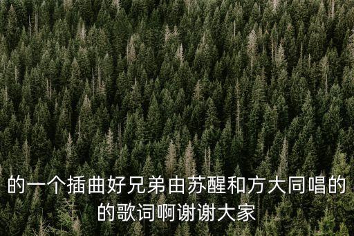 的一個插曲好兄弟由蘇醒和方大同唱的的歌詞啊謝謝大家