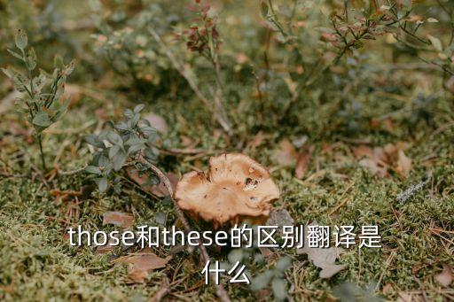 those和these的區別翻譯是什么