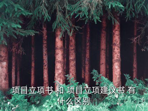 立項(xiàng)建議書，項(xiàng)目立項(xiàng)書 和 項(xiàng)目立項(xiàng)建議書 有什么區(qū)別